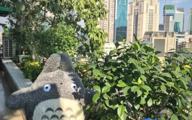 Marc's Youth Hostel – Outside – Chengdu