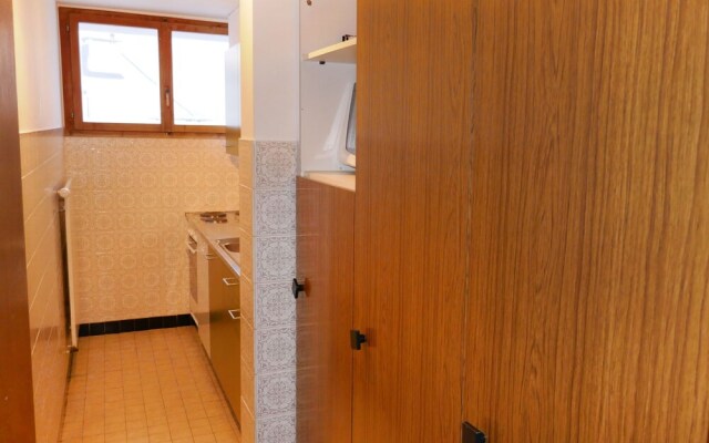 Bouleaux I4 Nendaz in Nendaz