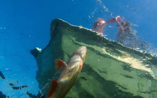 Karelia Country Cottages