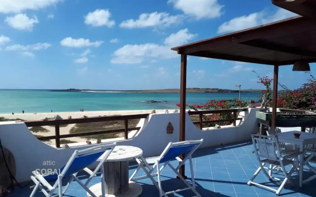BookingBoavista - Apartments