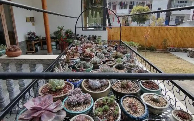 Qishe Hostel