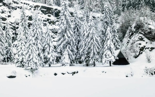 Urlaub im Blockhaus in der UNESCO-Region Thüringen