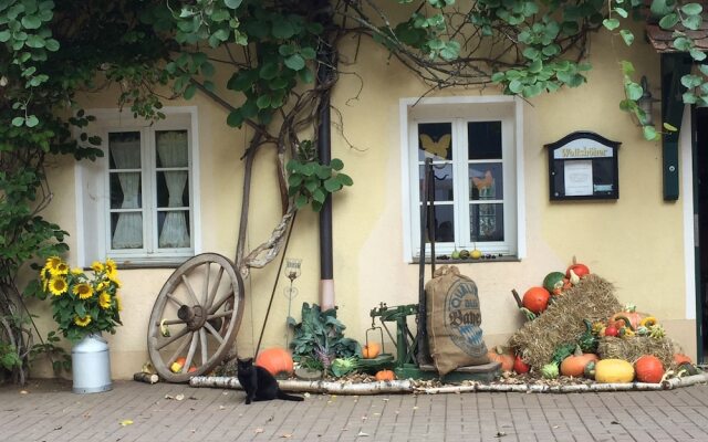 Landpension Schmererhof