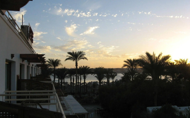 Oonas Dive Club