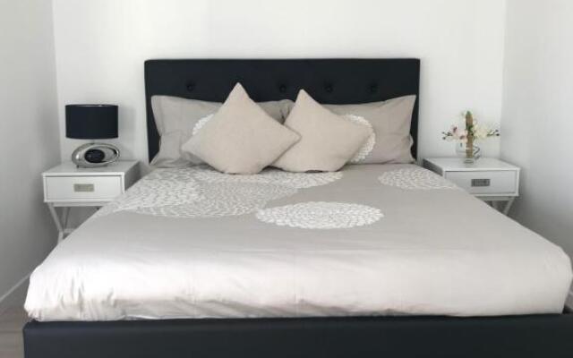 Roanne-centre appartement