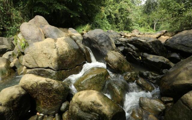 Ayursakthi Riverdale