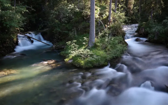 Familienhotel Kleinwalsertal
