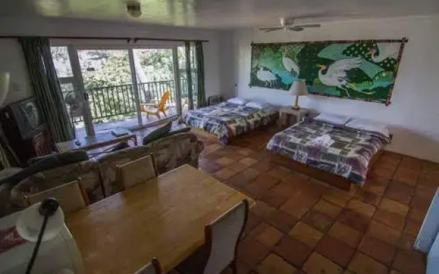 Backpackers Vacation Inn and Plantation Village