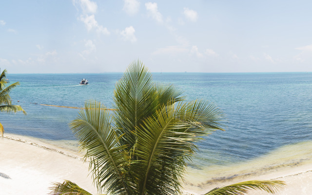 All Ritmo Cancun Resort & Water Park - All Inclusive
