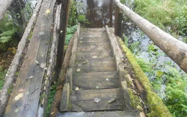 Mustjõe Tourism farm