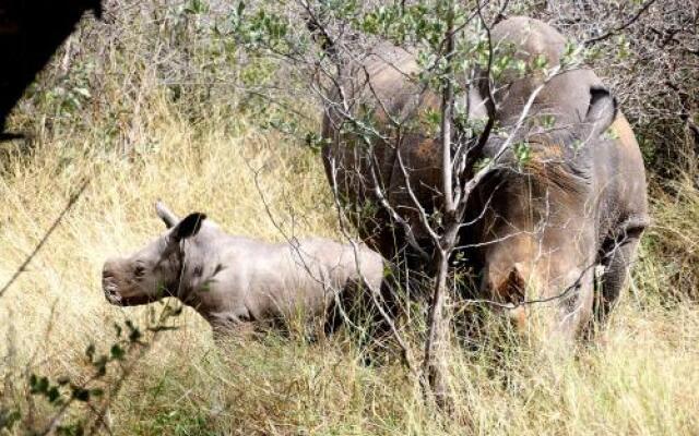 Waterberg Wilderness