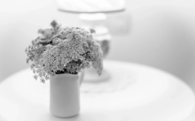 Ficonovo is Your Agritourism With Pool