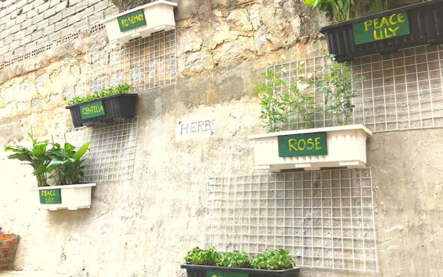 Zen Homestay Dalat