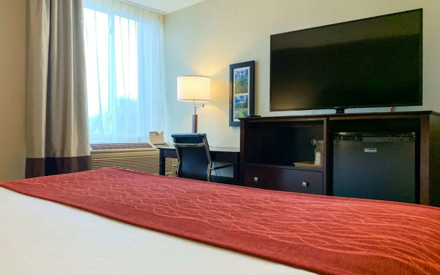 Comfort Inn & Suites East Hartford - Hartford