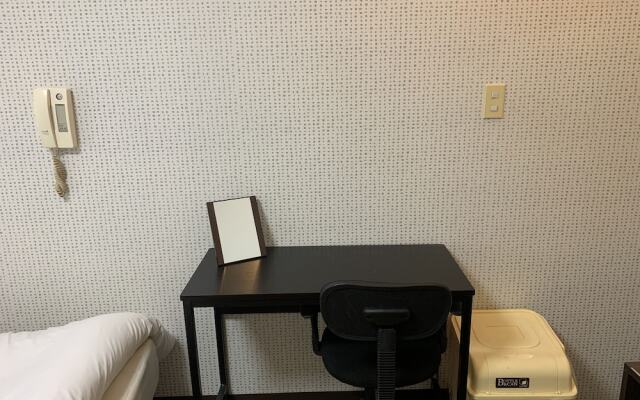 Exsaison Shirokita 609