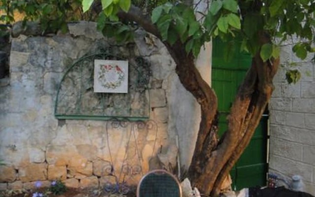 Zimmer Lemon Tree