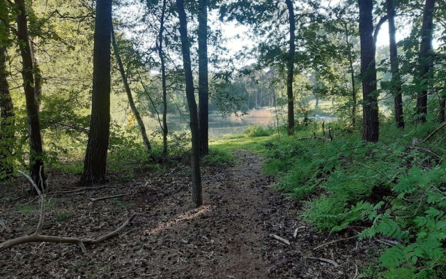 Holiday home in a rural location in Vessem, North Brabant, with sauna and hot tub