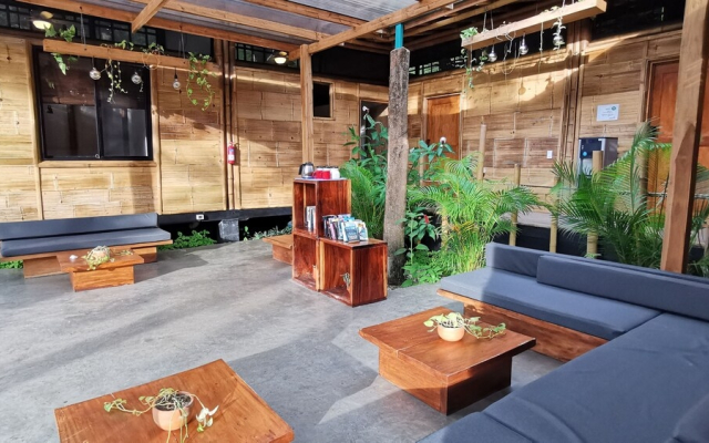 Bamboo Surf House - Hostel