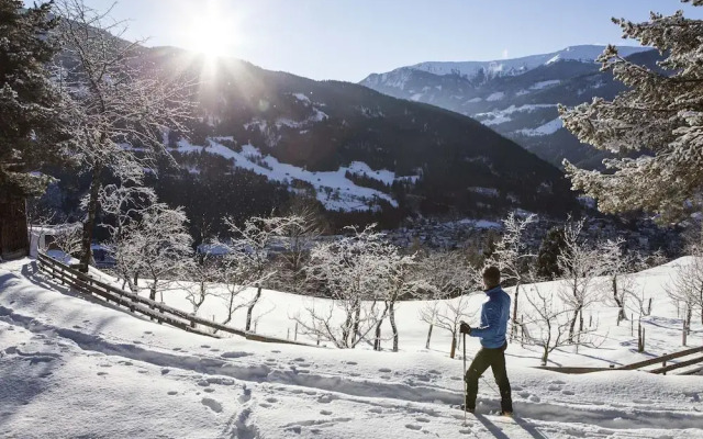 Brilliant Holiday Home in Leutasch Tyrol With Garden