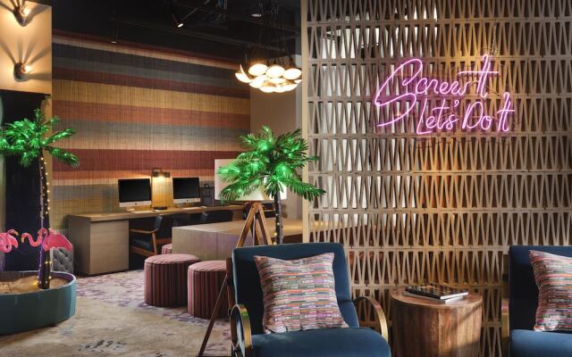 Moxy Austin - University