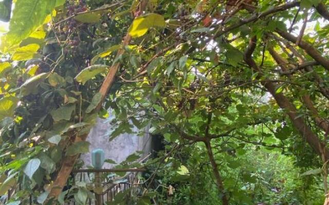 Black Sea Ochamchira