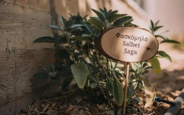 Villa Verdeblu Rethymno Crete