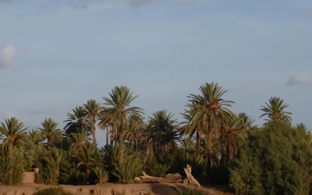 Gîte Kasbah La palmeraie