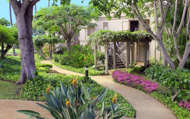 Wailea Ekolu Village