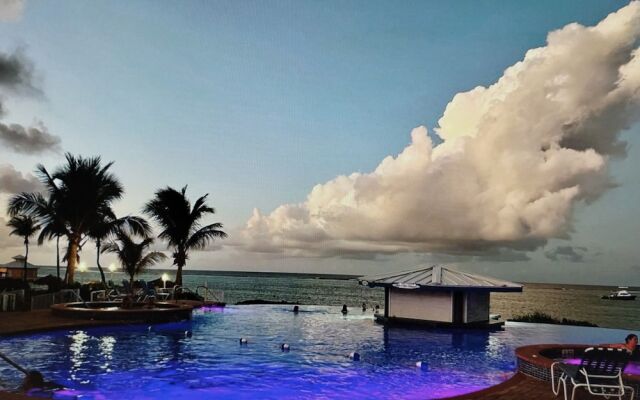 Morritts Tortuga Club