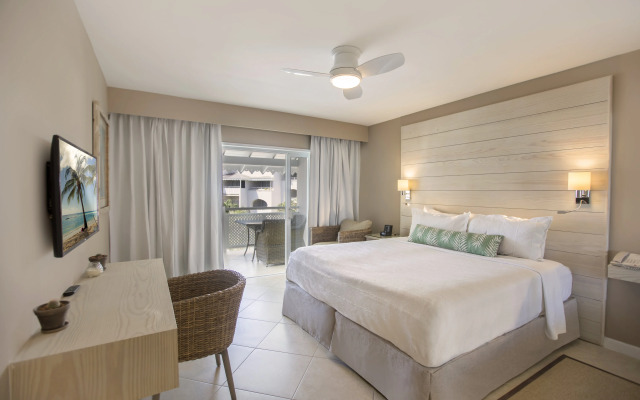 Bougainvillea Barbados