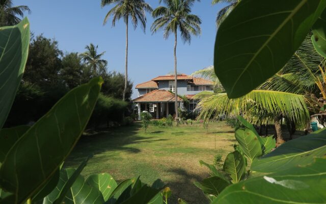 Boutique Health-focused Hotel on the Beach in Sri Lanka, Just North of Colombo