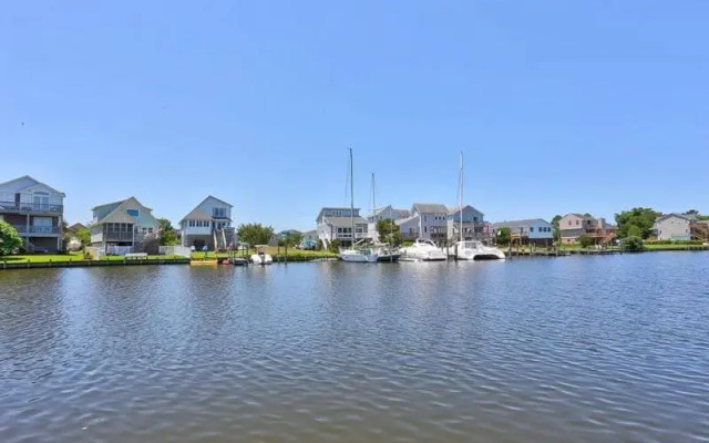 5531 - The Bird House