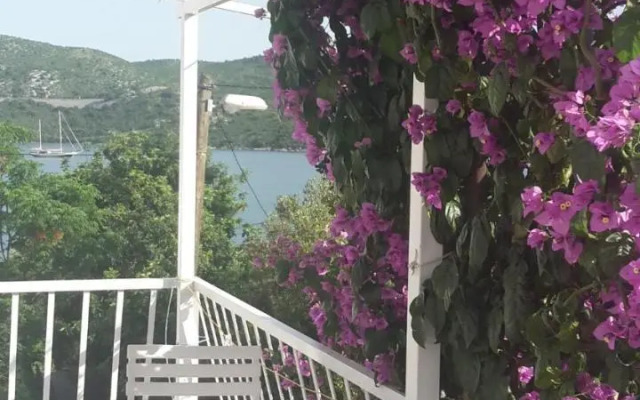 Apartments by the sea Slano, Dubrovnik - 8599