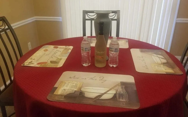 Cozy Stone Mountain Villa