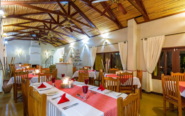 Gecko Lodge