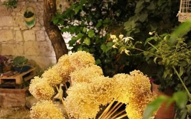 Lunar Butik Hotel Alaçatı
