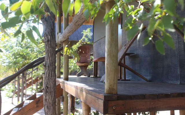 Dzibanana Lodge & Camping