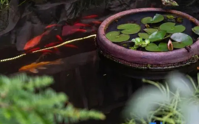 Yupingge·Long history Viewing Huizhou Design Homestay (Hongcun Pingshan Scenic Area)