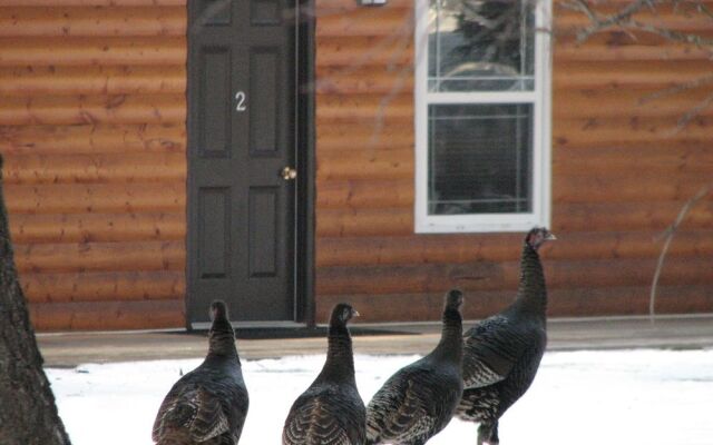 Springbrook Resort Motel Campground & Cabin