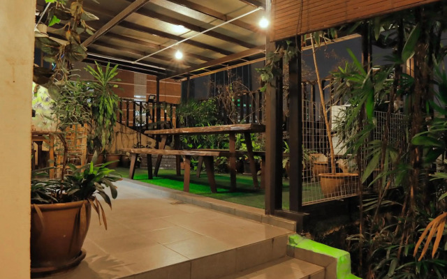 Rain Forest Hotel