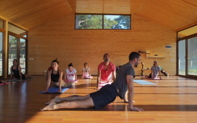 Babakamp Eco Ranch & Retreat
