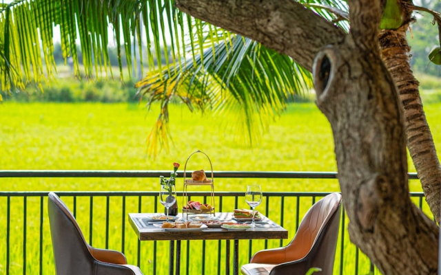 Sunkissed Paddy Hoi An Villa
