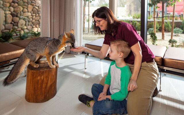 Sheraton Redding Hotel at the Sundial Bridge