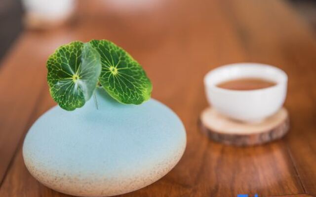 Wuyishan Shangxige B & B