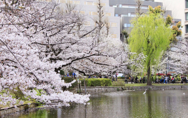 Centurion Ladies Hostel Ueno Park - Caters to Women
