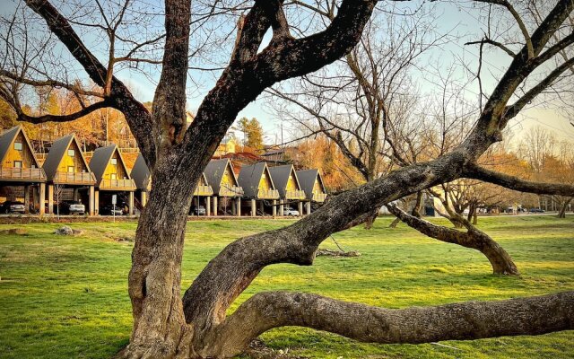 Wrong Way River Lodge & Cabins