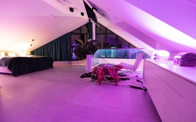 Penthouse at Eco Smart Apartments
