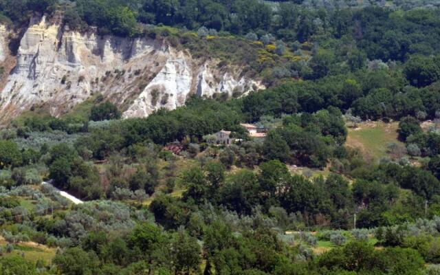 Luxury villa Colle dell'Asinello ,proprietari , Price all inclusive Pool Heating 30 C & area SPA h 24, near ORVIETO