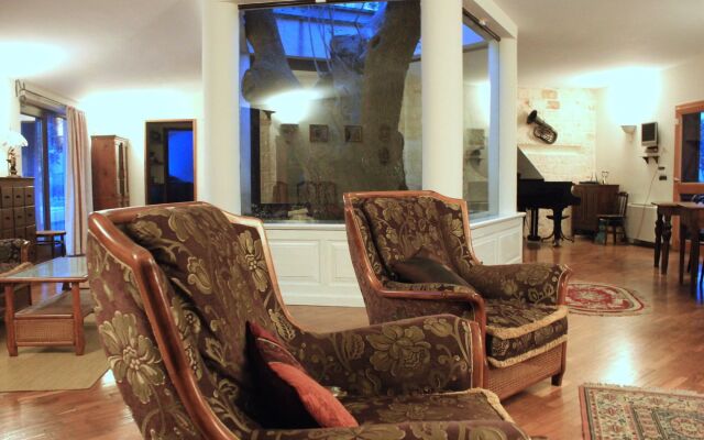 B&B Antico Ulivo