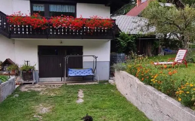 Apartma Vidic